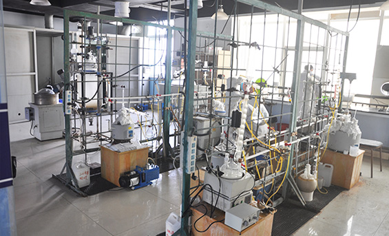 上海哲华化工材料有限公司实验室内景